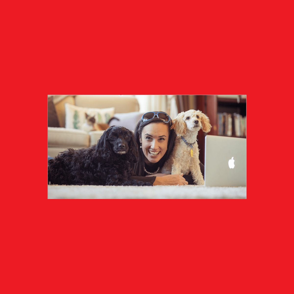 Liz Benny – Social Monkey Business Training